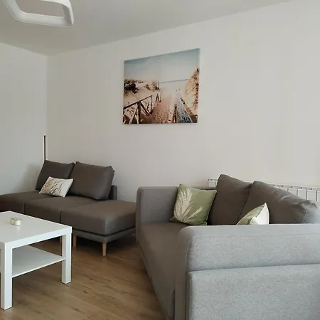 Sollemio * بلغراد